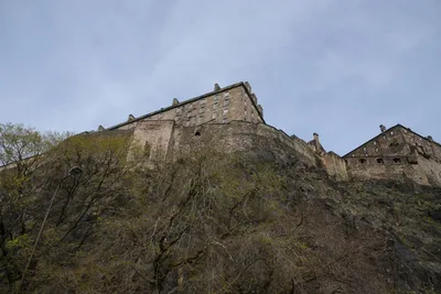 DSC_7371 (Large).JPG